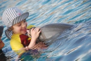 Delfintherapie